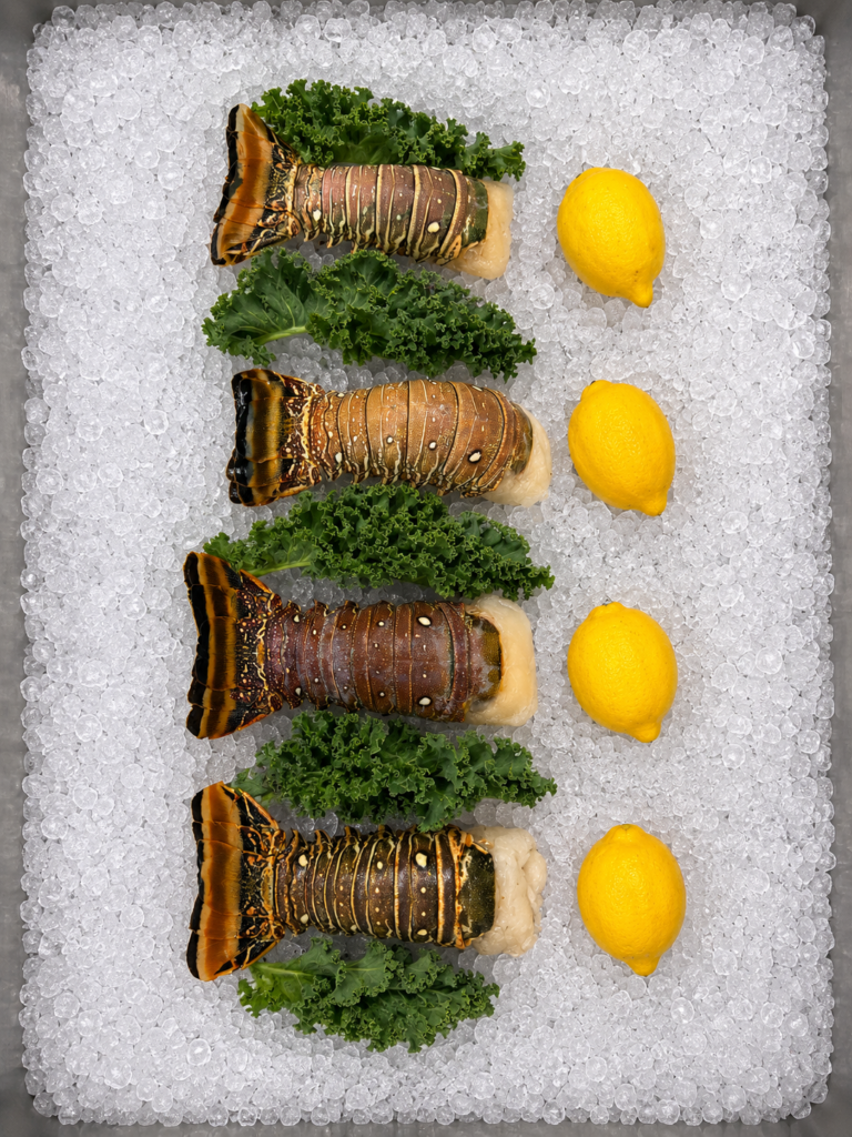 Caribbean Warm Water Lobster Tails