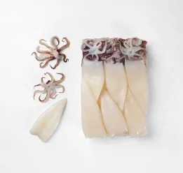 Calamari - Tubes and Tentacles