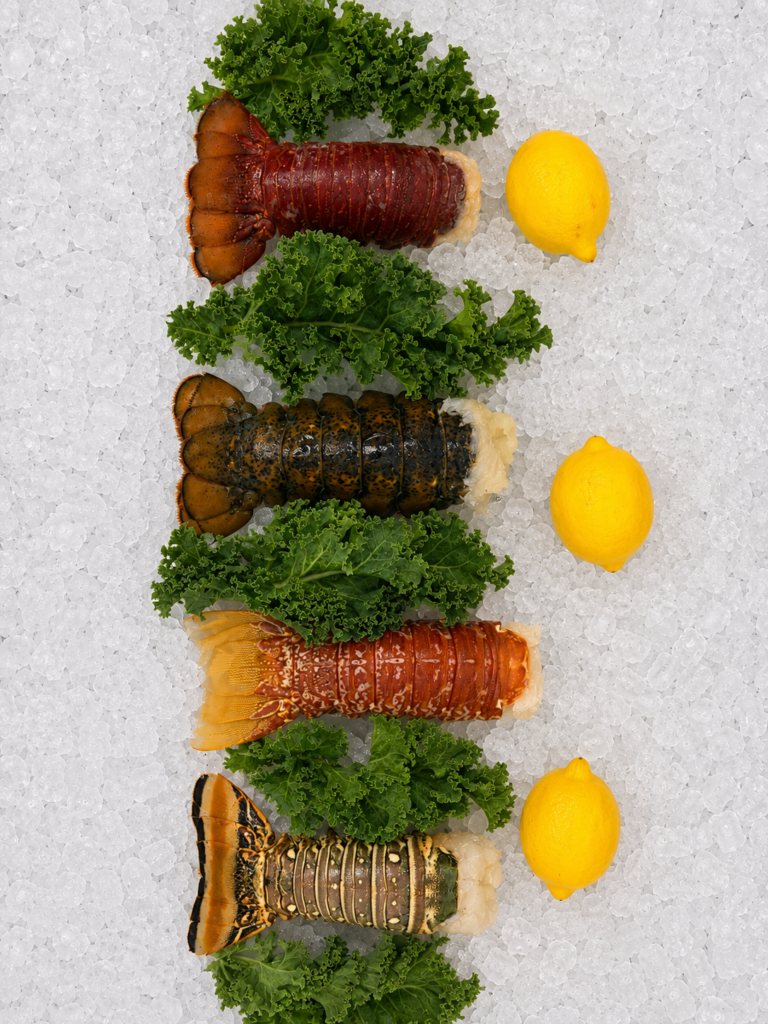 Lobster Tails Around the World
